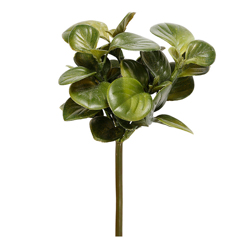 Almost Real Clover Bundle