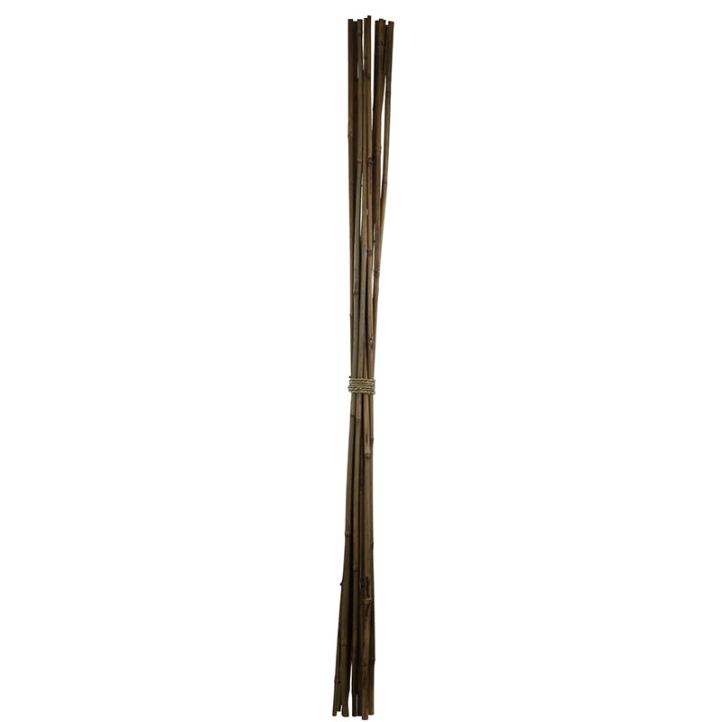 Bamboo Natural 