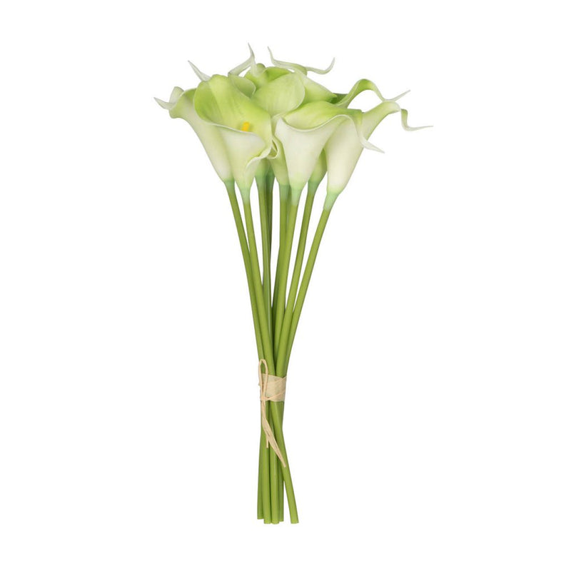 Cala Lily Cream Green