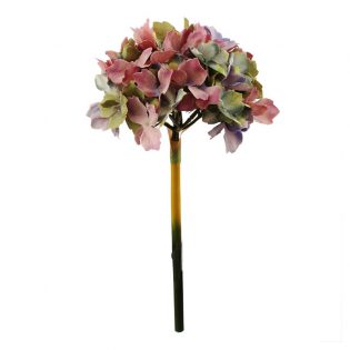 Hydrangea Fall
