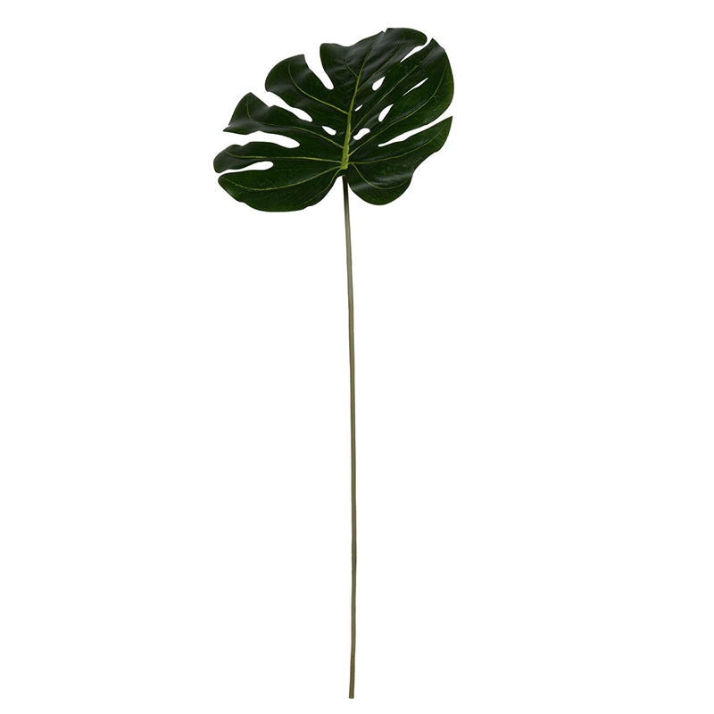 Split Leaf Stem Green 