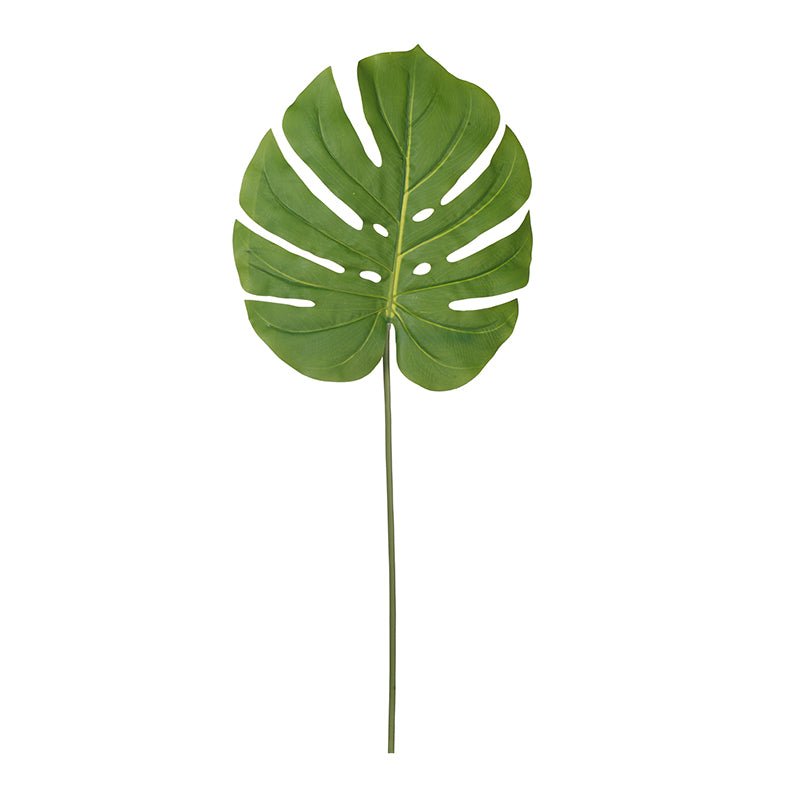 Palm Stem 
