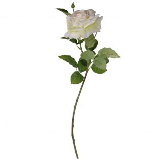 7X3X26"H Real Touch Rose Stem Cream 