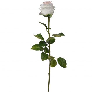 D6X29"H Real Touch Rose Stem Cream