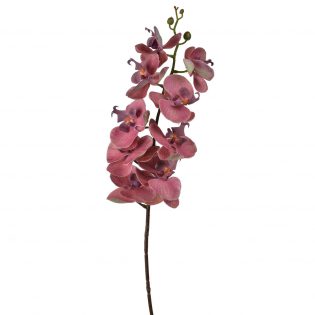 6X37"H Real Touch Orchid Stem