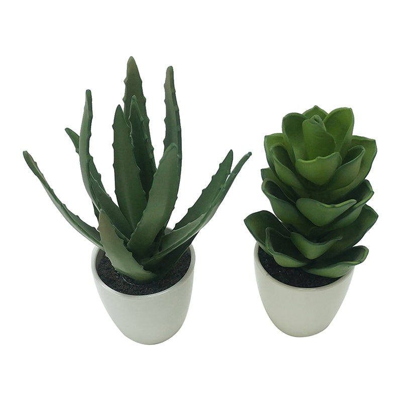 S/2 Potted Aloe/Lotus 