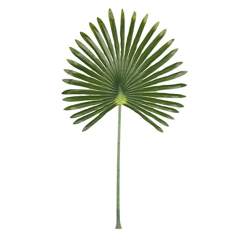 Leaf Stem 