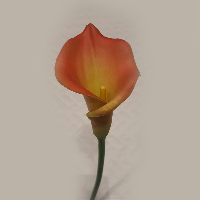 26" Sm Orange Calla Lily Stem