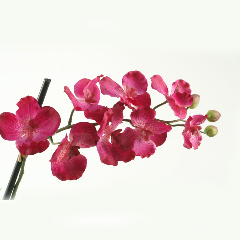 30.5" Purple Vanda Orchid