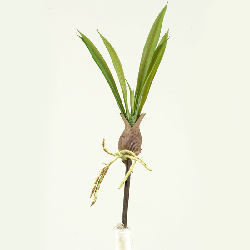 14" Orchid Leaf