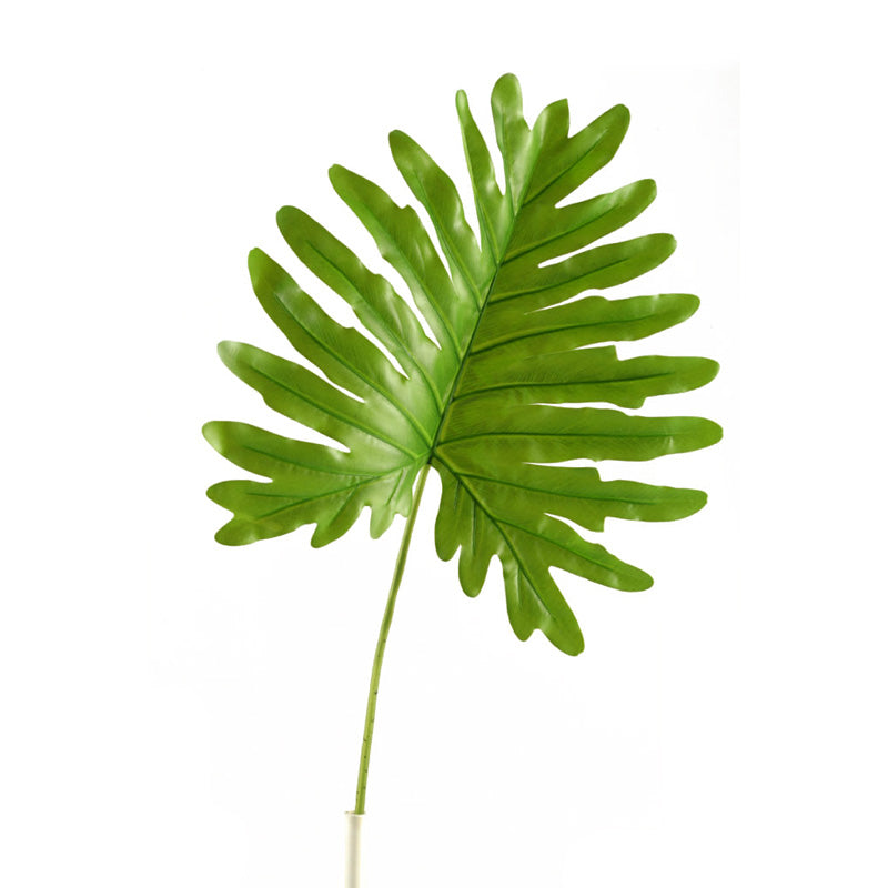 Cellum philo leaf – Jumbo