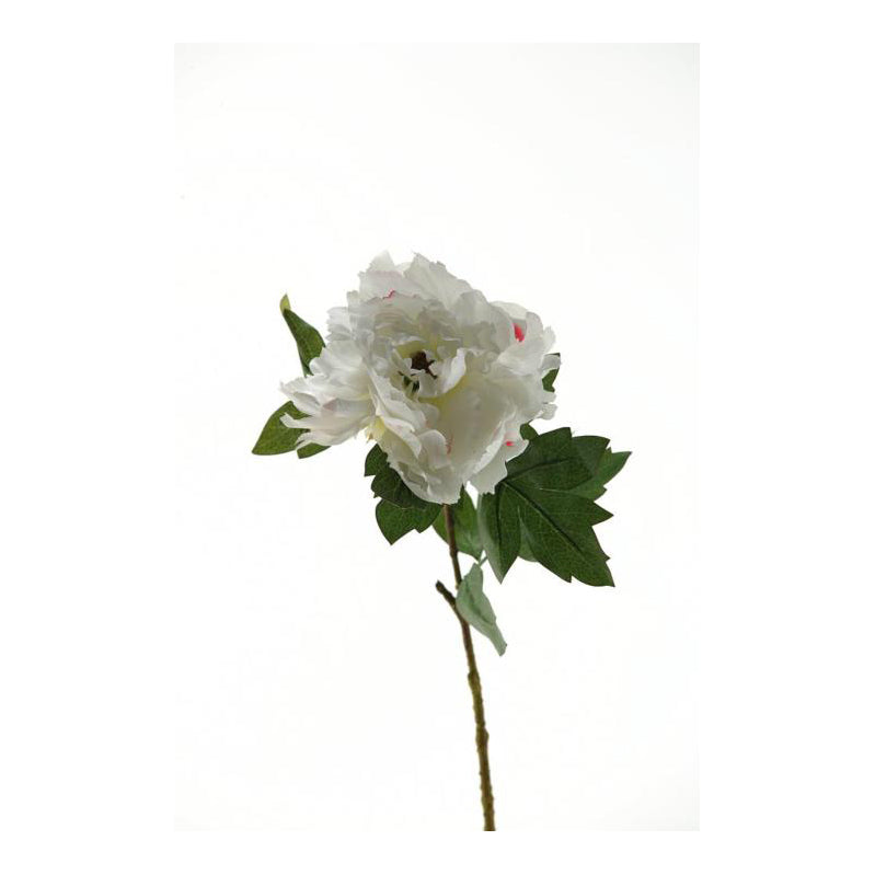 Jumbo Cream/Pink Peony Spray