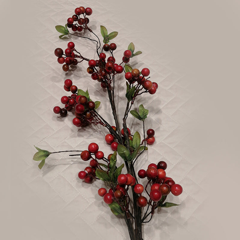 Orange Berries Spray