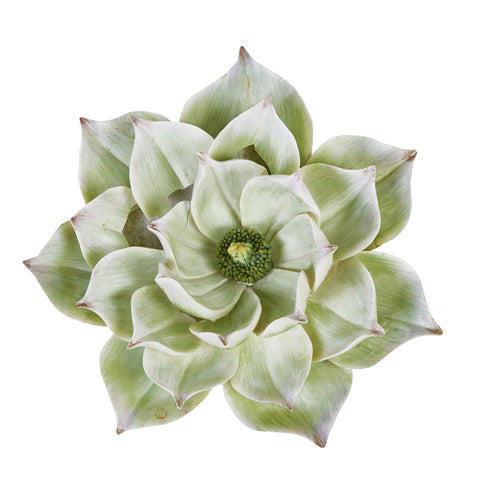 Decorative Resin Lotus Wall Flower, Green