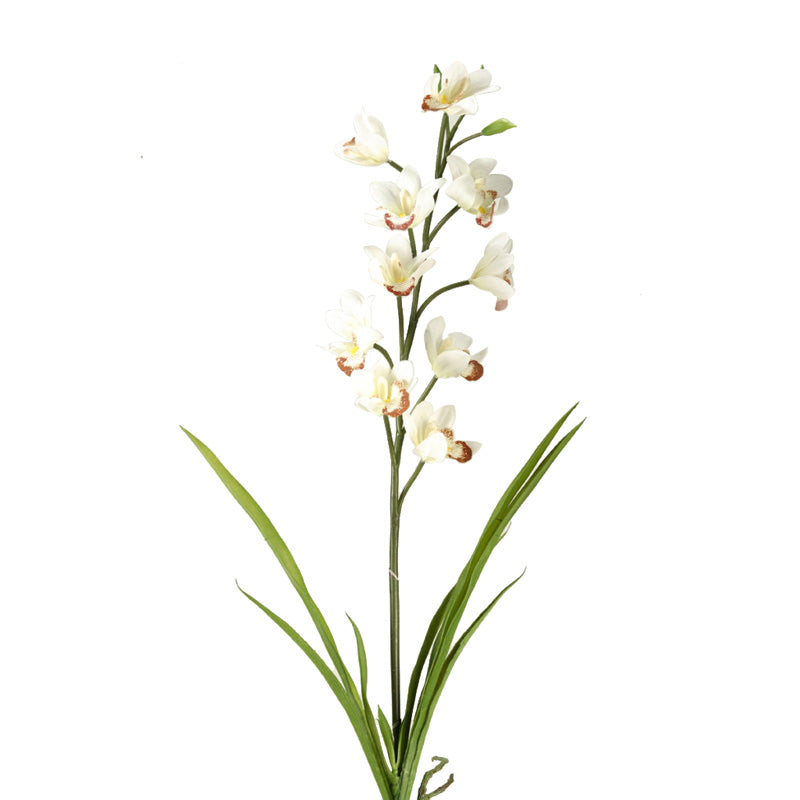 Cream Cymbidium orchid stem 31"