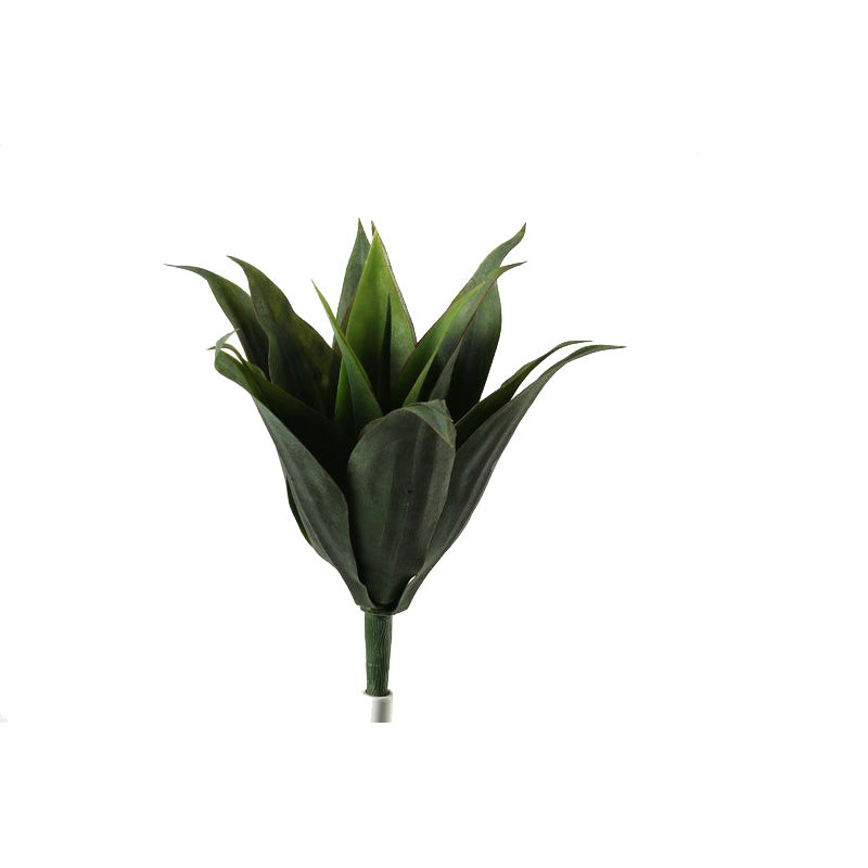 Agave plant x 15 15"