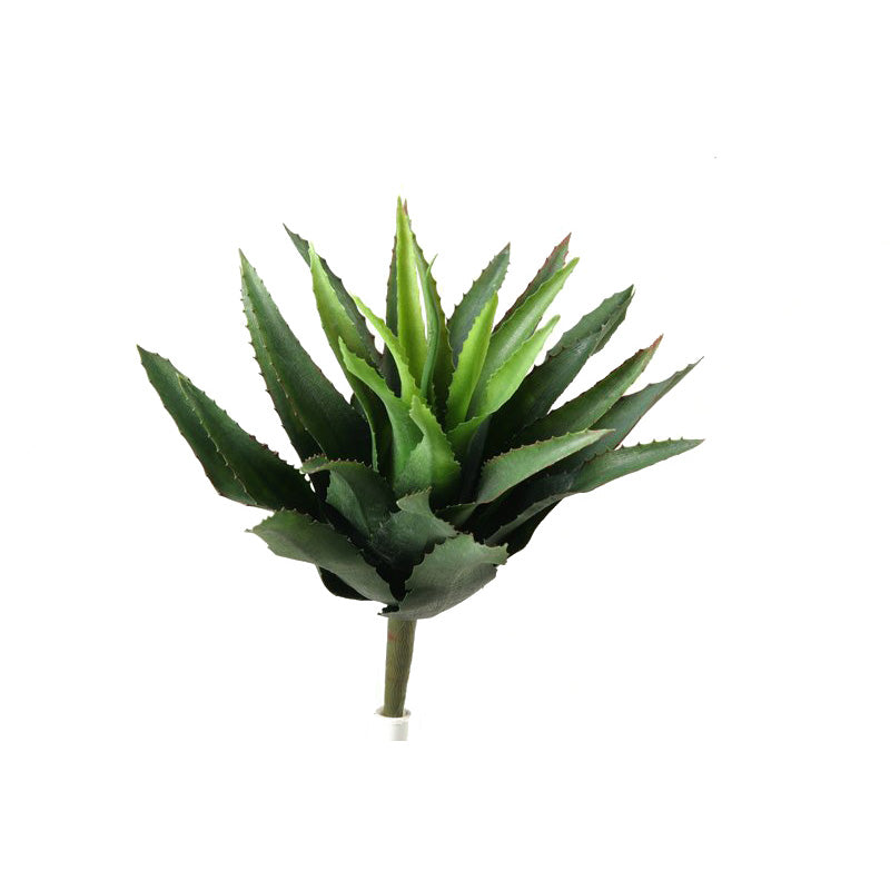 Star Succulent 16"